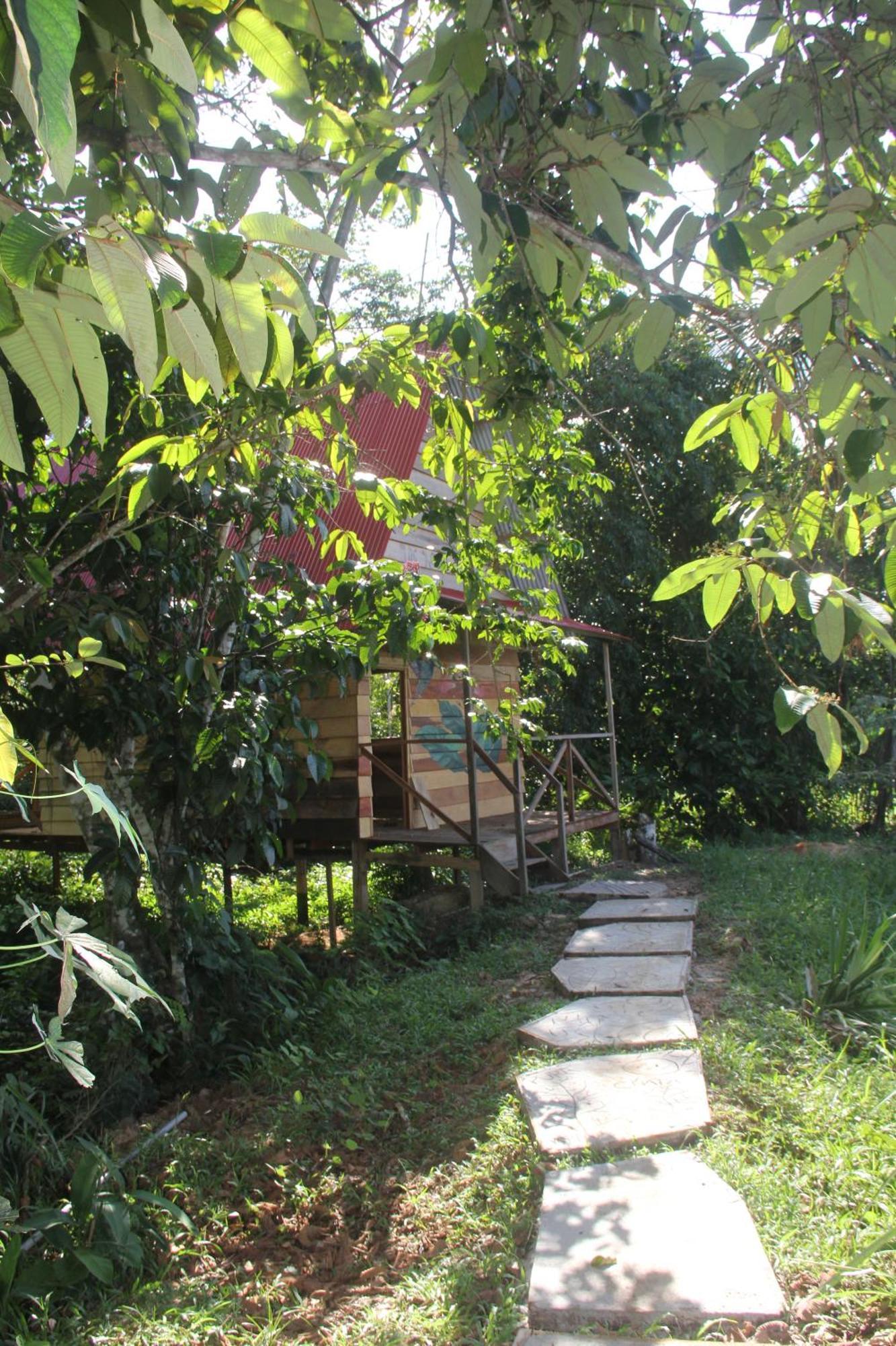 Purachata Ecolodge Iquitos Exterior photo